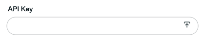 API Key field, blank