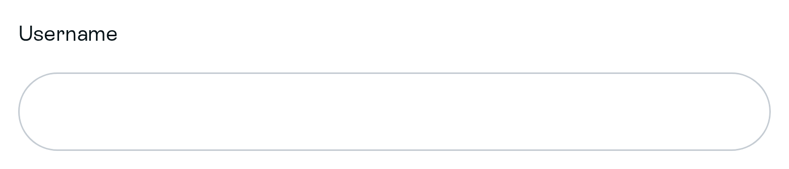 Basic authentication Username field