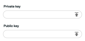 Blank Stripe Private key above Public key, with original field icons